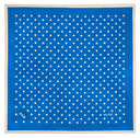 Carré de soie 49, Pois – Bleu Beige