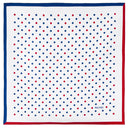 Carré de soie 49, Pois – Bleu Blanc Rouge