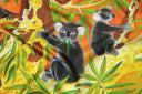 Carré de soie 90, Les Koalas de l’artiste Alain Thomas – Noir