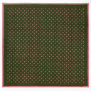Carré de soie 67, Pois – Kaki