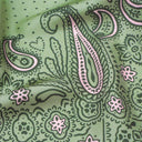 Carré de soie 67, Bandana – Vert Clair